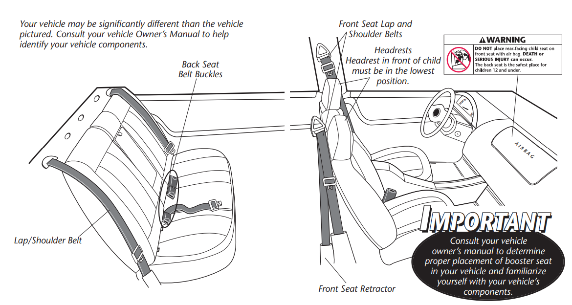 visual_glossary_evenflo_amp_no-back_booster_seat_â34112329.png